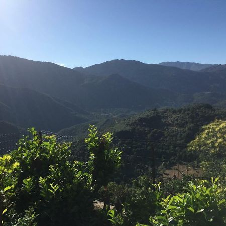 Gite , Maison De Vacances Avec Exterieur Et Terrasse Fleurie Meuble Tourisme 3 Etoiles Santa-Lucia-di-Tallano 外观 照片