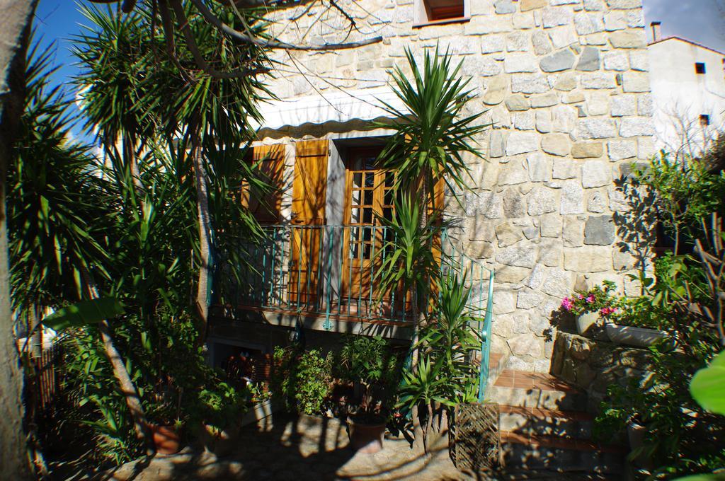 Gite , Maison De Vacances Avec Exterieur Et Terrasse Fleurie Meuble Tourisme 3 Etoiles Santa-Lucia-di-Tallano 外观 照片