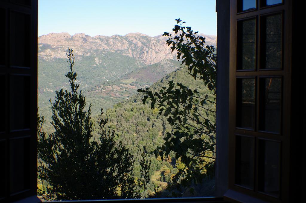 Gite , Maison De Vacances Avec Exterieur Et Terrasse Fleurie Meuble Tourisme 3 Etoiles Santa-Lucia-di-Tallano 外观 照片