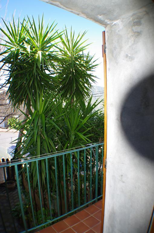 Gite , Maison De Vacances Avec Exterieur Et Terrasse Fleurie Meuble Tourisme 3 Etoiles Santa-Lucia-di-Tallano 外观 照片