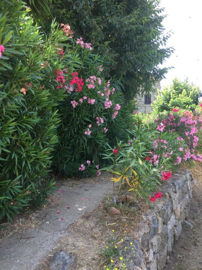 Gite , Maison De Vacances Avec Exterieur Et Terrasse Fleurie Meuble Tourisme 3 Etoiles Santa-Lucia-di-Tallano 外观 照片