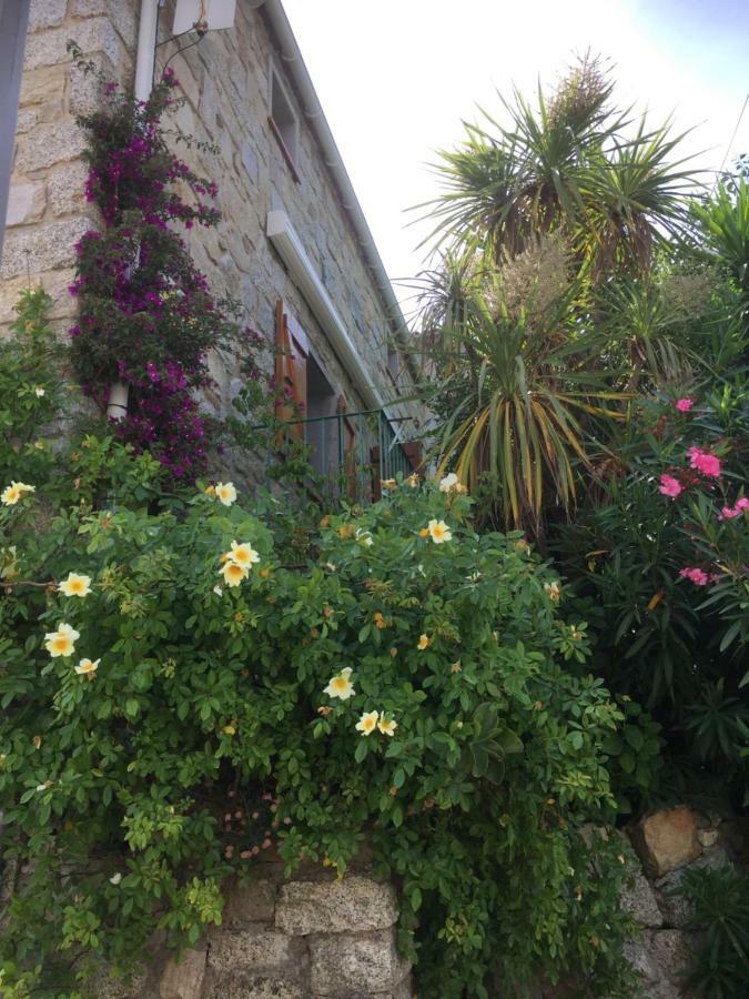 Gite , Maison De Vacances Avec Exterieur Et Terrasse Fleurie Meuble Tourisme 3 Etoiles Santa-Lucia-di-Tallano 外观 照片